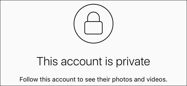 How to View/Download Photos and Videos from Private Instagram Profiles? -  TechieGenie